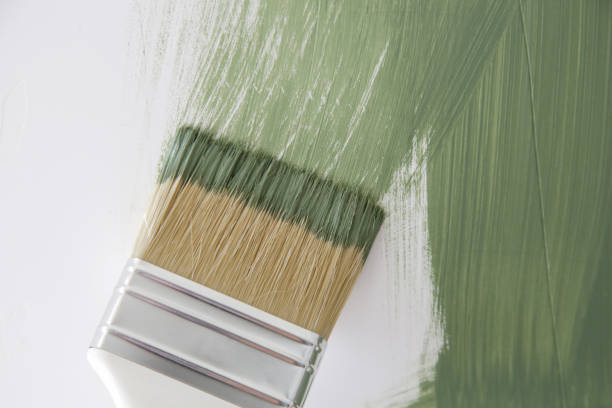 Environmental Consulting for Mold Prevention in New Plymouth, ID