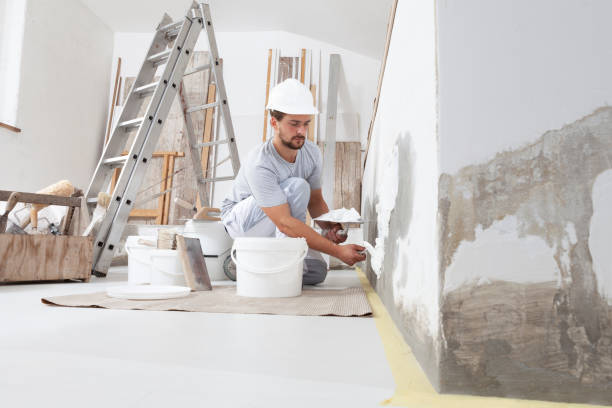 Best Mold Odor Removal Services  in New Plymouth, ID