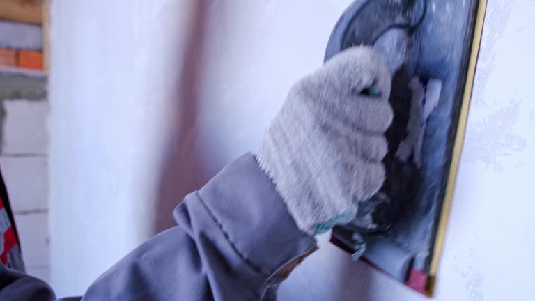 Best Mold Damage Restoration  in New Plymouth, ID