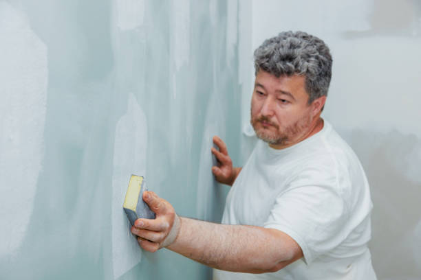 Best Water Damage & Mold Remediation  in New Plymouth, ID