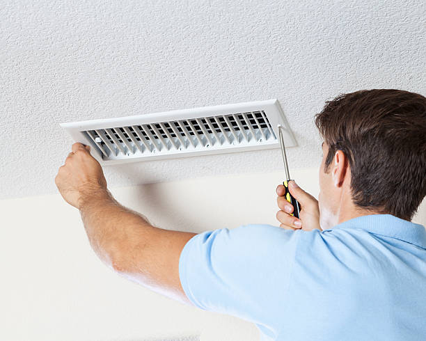 Best Mold Prevention Services  in New Plymouth, ID